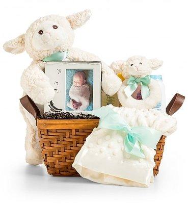 New Baby Gift Basket