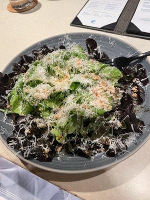 Salanova Kuilima Hydroponic Greens, Breadcrumbs, Parmesan, Red Wine Vinaigrette