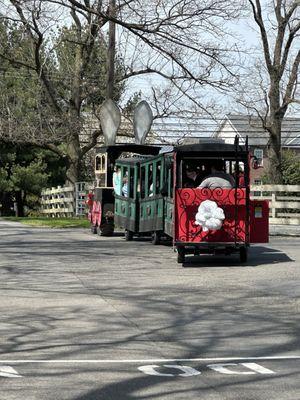 The bunny train