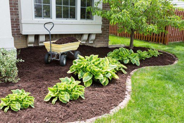 Romero Landscaping and Maintenance - Maintenance & Clean Up