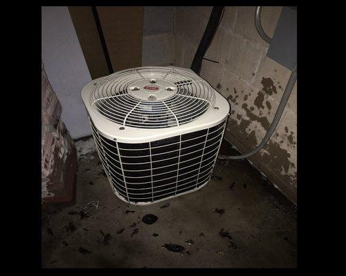 Central AC Repair