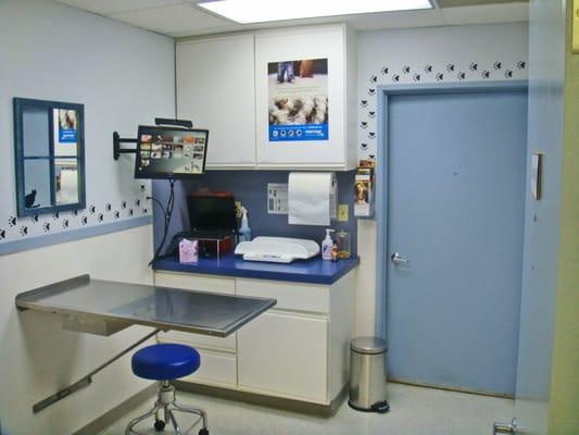 One of our 4 Exam Rooms