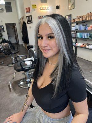 Two toned Hair Color