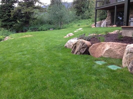 Lawn and boulders