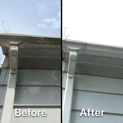 Gutter PowerWash