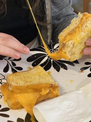 Grilled cheddar cheese on cheddar bread. Look at that cheese pull!!!