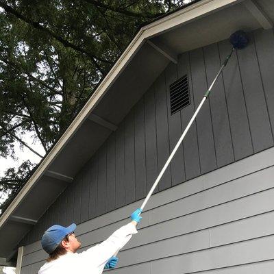 Our services include dewebbing of eaves to remove spider webs and to knock down any nests of flying insects.