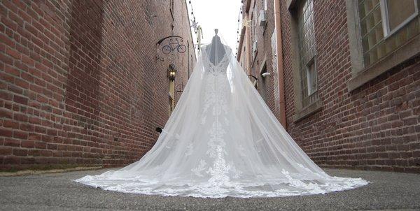 Cathedral Length Veil