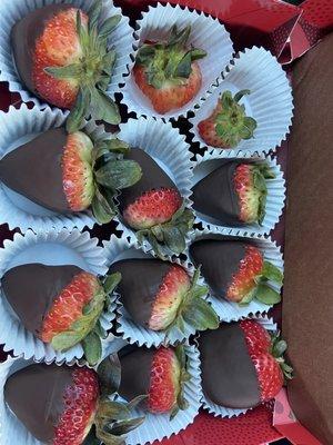 Dozen Chocolate Covered Strawberrys