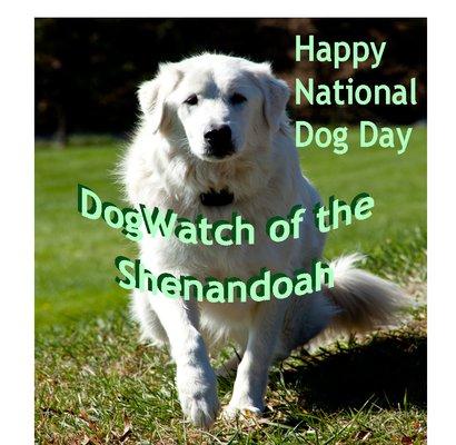 Every day is a Happy Dog Day  with DogWatch of Shenandoah