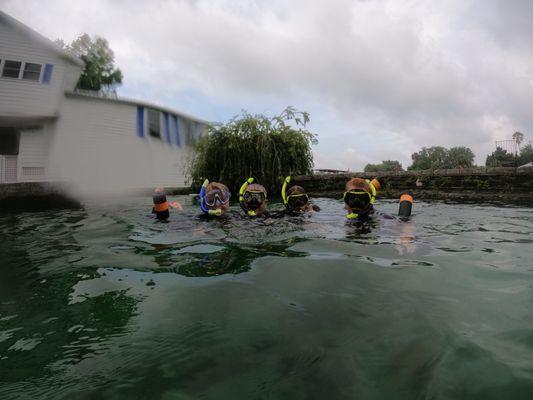 Living out best manatee viewing  lives