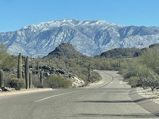 Dove Mountain