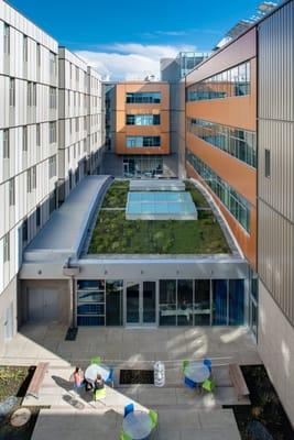 The Center @ Lane Downtown Campus indoor event space, shown with it's green roof and skylight louvers.