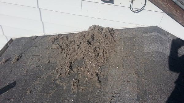 Lint cleaning on a roof