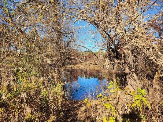 Albany Pine Bush Preserve