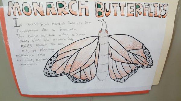 ...Monarch populations are declining rapidly. They need milkweed to survive. Milkweed is becoming more difficult for them to find.