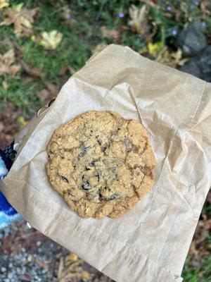 Oatmeal cookie