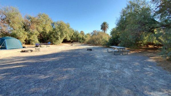 Walk-in area. Sites under mesquite trees. Left to right sites 131- 123