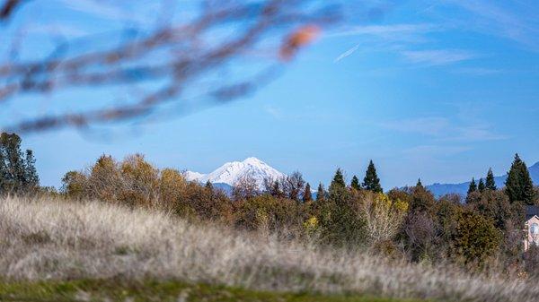 Clover Creek Preserve