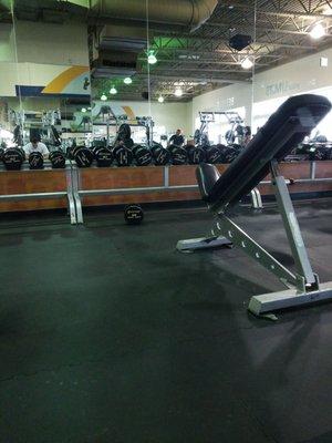 Big weights section