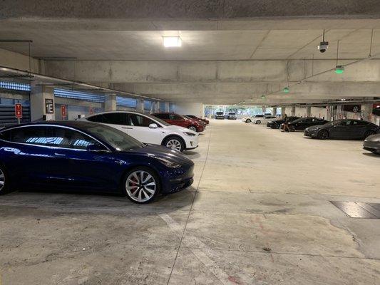 34 Tesla Supercharge stations here in Aventura Mall parking lot level 1E.