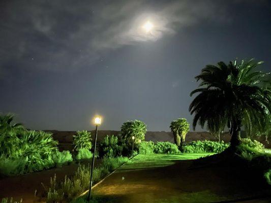 Full moon in the grassy area at about midnight. Parking lot is well lit and lighting may be enhanced due to aperture and shutter speeds.