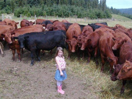 Generations of  ranchers