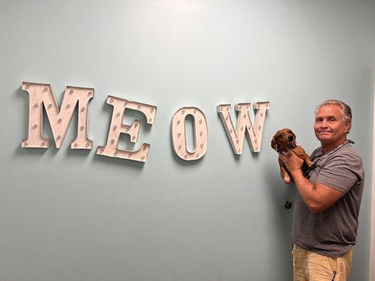 Minnie and Brian admiring the decor in her exam room!