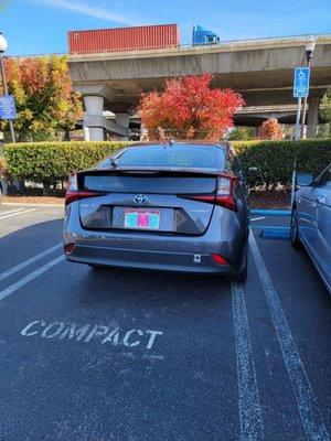 Please do not park like this, especially when the spot to your left is empty and the spot to your right is a handicapped parking spot.