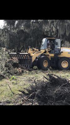 Land clearing