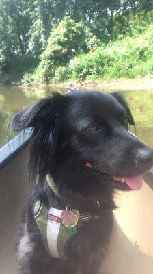 Bernie loves canoeing!