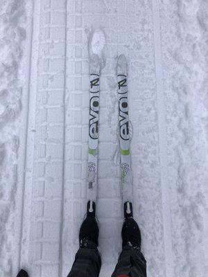 XC ski rentals from the shop