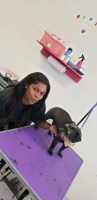 Onnie im a KeeKee Kutz Pet Stylist book your appt with me today!