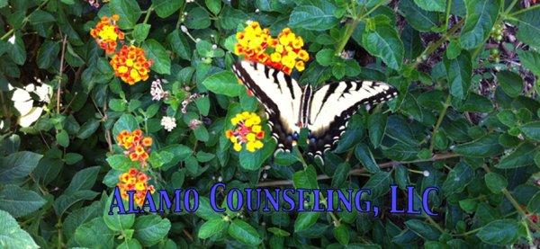 San Antonio Counseling Services