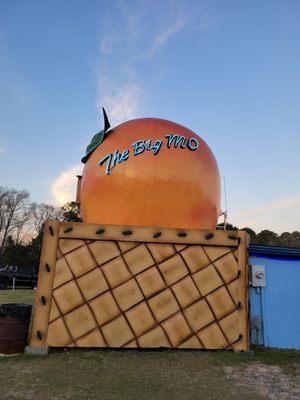 Inside this giant peach is where movie projector is