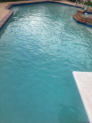 My pool after this morning service.  Sparkling clean.