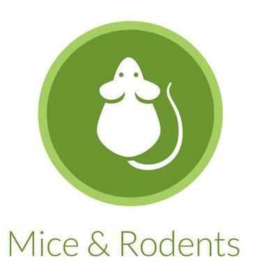 Ailing House Pest Management - Free Rodent Inspection - Rats - Mice - Mouse - Inspection - Monterey County & Santa Clara County.