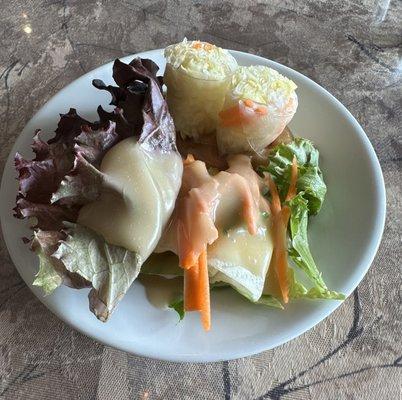 Small salad and spring rolls included with lunch