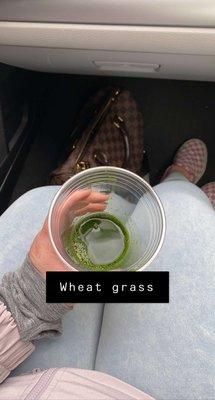 Wheatgrass