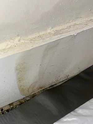 Mold in my bedroom