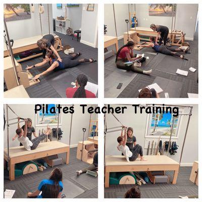 Polestar Pilates Teacher Training