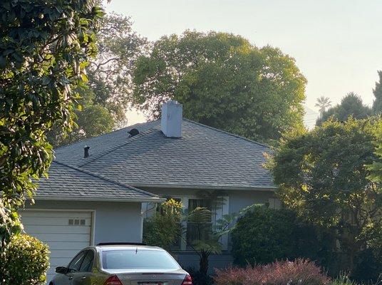 New roof looking good!