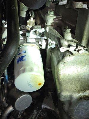 Leaking oil filter discovered by R & D AUTO