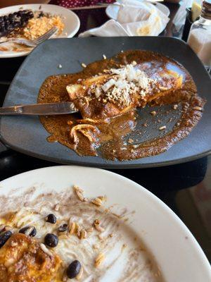 Mole enchiladas