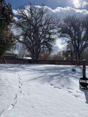 The Healing House of New Mexico