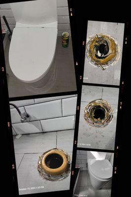 Clogged toilet,  pulled and rest toilet with new wax ring and brass bolts