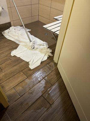 Water leaking out the bathroom door.