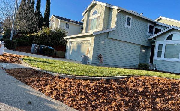 Sod Installation & Gorilla Mulch (Vallejo