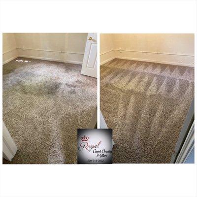 Royal Carpet Cleaning & More