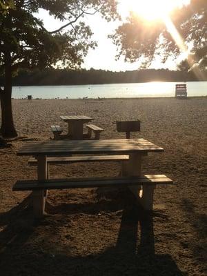 Awesome picnic tables and grill right on the lake. Great for family get-togethers. Pines offer shade during the day.